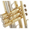 Bach 180L25 Bb-Trumpet Bach 180L25 Bb-Trumpet