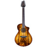 Breedlove Pursuit Exotic S Conc 12-Ст CE Breedlove Pursuit Exotic S Conc 12-St CE