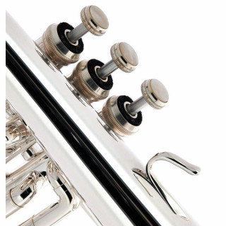 Флюгельгорн B&S 3146/2-S Brochon