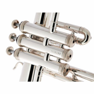 Флюгельгорн B&S 3146/2-S Brochon