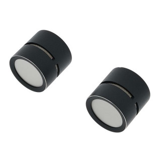 Капсюли SE Electronics sE8 Cardioid Stereo-Kapselset SE Electronics sE8 Cardioid Stereo-Kapselset