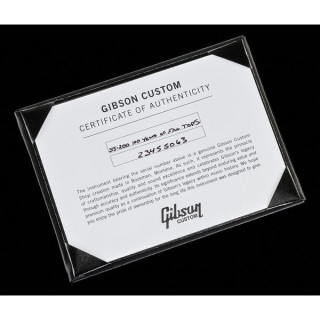 Gibson SJ-200 100 Лет Флэт-Топов Gibson SJ-200 100 Years of Flat-Tops