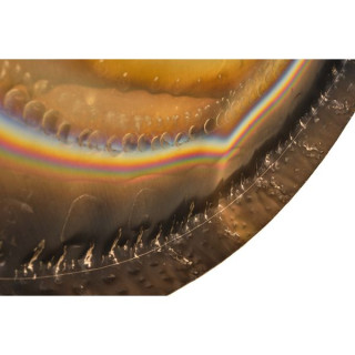 А́урис Гонги 32"/80см Планетный ГONG Плутон Auris Gongs 32"/80cm Planet Gong Pluto