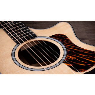 Тейлор 312ce Next Generation Taylor 312ce Next Generation