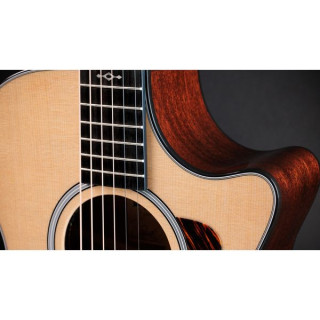Тейлор 312ce Next Generation Taylor 312ce Next Generation