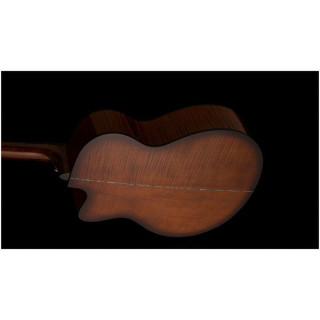 Акустическая гитара PRS SE A50E BG inc. Case PRS SE A50E BG inc. Case