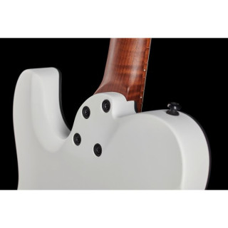 Электрогитара Harley Benton Fusion-T HH Roasted SW Bundle №557919 (Комплект)