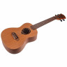 Укулеле LAG Tiki 10 Concert Ukulele LAG Tiki 10 Concert Ukulele