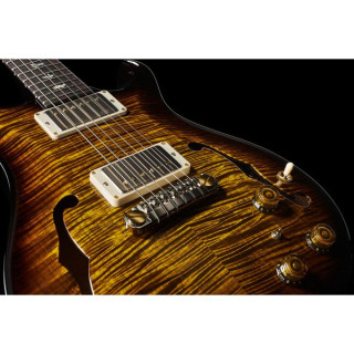 PRS Hollowbody II Piezo BW 10 Top PRS Hollowbody II Piezo BW 10 Top