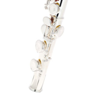 Fliphead Flute Bundle FL1-SE AM-2