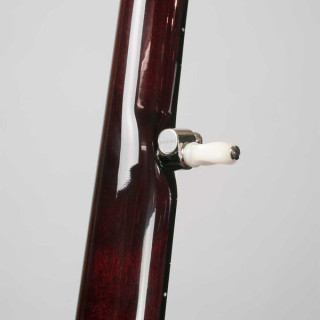 Deering Eagle II 5-струнный A/E Deering Eagle II 5-String A/E