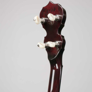 Deering Eagle II 5-струнный A/E Deering Eagle II 5-String A/E