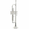 Труба Schilke S42 Bb-Trumpet Schilke S42 Bb-Trumpet