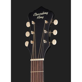 Запись Короля RDS-7-TS Recording King RDS-7-TS