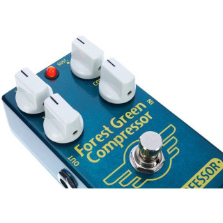 Сумасшедший профессор Ф Orest Green Compressor факт. Mad Professor Forest Green Compressor Fact.