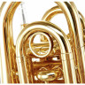 Thomann TR 5 Bb-Карманная труба Thomann TR 5 Bb-Pocket Trumpet