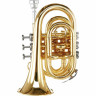 Thomann TR 5 Bb-Карманная труба Thomann TR 5 Bb-Pocket Trumpet