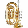 Thomann TR 5 Bb-Карманная труба Thomann TR 5 Bb-Pocket Trumpet