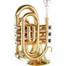 Thomann TR 5 Bb-Карманная труба Thomann TR 5 Bb-Pocket Trumpet