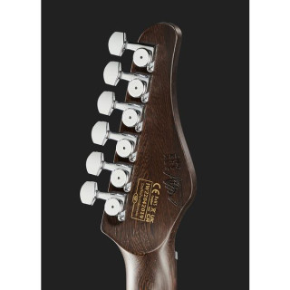 Шектер Аарон Маршалл AM-6 AJ Schecter Aaron Marshall AM-6 AJ