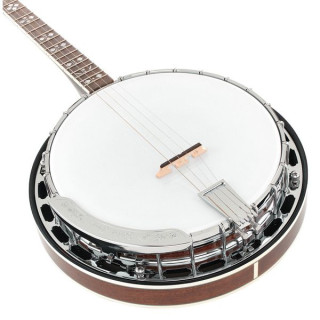 Золотое теноровое банджо TS-250 с футляром Gold Tone TS-250 Tenor Banjo w/Case