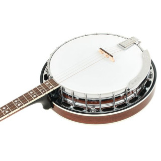Золотое теноровое банджо TS-250 с футляром Gold Tone TS-250 Tenor Banjo w/Case