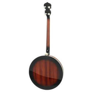 Банджо Gold Tone TS-250 Tenor Banjo w/Case
