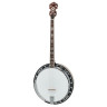 Золотое теноровое банджо TS-250 с футляром Gold Tone TS-250 Tenor Banjo w/Case