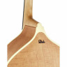 Двухцветный контрабас Duke DBG 3/4 Duke Two Tone DBG Double Bass 3/4