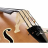 Двухцветный контрабас Duke DBG 3/4 Duke Two Tone DBG Double Bass 3/4