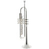 Schilke B5 Bb-Труба Schilke B5 Bb-Trumpet