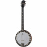 Банджо Deering Boston 6 String A/E Banjo