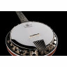 Диринг Бостон 6-струнное A/E банджо Deering Boston 6 String A/E Banjo