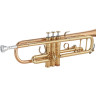 Ямаха YTR-8335EA Тромбон Yamaha YTR-8335EA Trumpet