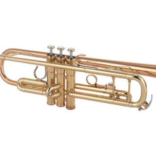 Ямаха YTR-8335EA Тромбон Yamaha YTR-8335EA Trumpet