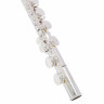 Флейта Startone SFL-55 Flute Bundle №341233 (Комплект)
