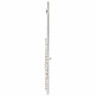 Флейта Startone SFL-55 Flute Bundle №341233 (Комплект)