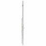 Флейта Startone SFL-55 Flute Bundle №341233 (Комплект)