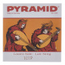 Пирамида Лютня Однострунная 1019 Pyramid Lute Single String 1019