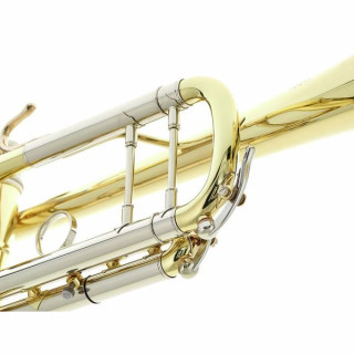 B&S 3143/2-L Challenger II L B&S 3143/2-L Challenger II L