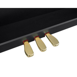 Casio GP-310 BK Celviano Casio GP-310 BK Celviano