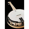 Диринг Гудтайм Два банджо Deering Goodtime Two Banjo