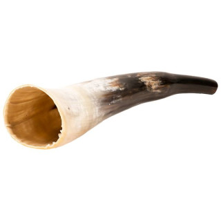 Отполированный коровий рог Томанна Thomann Cow Horn polished