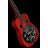 Резонаторная гитара Beard Guitars Jerry Douglas SN RedBeard