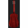 Резонаторная гитара Beard Guitars Jerry Douglas SN RedBeard
