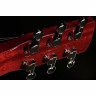 Резонаторная гитара Beard Guitars Jerry Douglas SN RedBeard