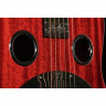 Резонаторная гитара Beard Guitars Jerry Douglas SN RedBeard