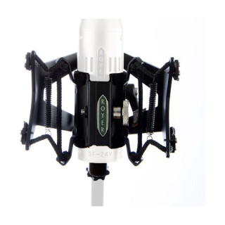 Royer Labs R-12 Набор №652798 Royer Labs R-12 Bundle №652798