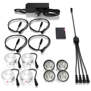 Ape Labs ApeCoin V2 Set 4 IP Ape Labs ApeCoin V2 Set 4 IP