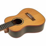 Укулеле Flight Diana CE Concert Ukulele Flight Diana CE Concert Ukulele